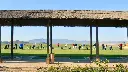 desert-spring-golf-7.webp