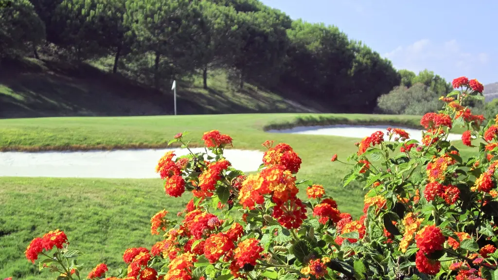 dona-julia-golf-29.webp