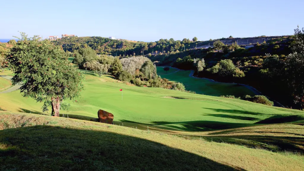 dona-julia-golf-21.webp