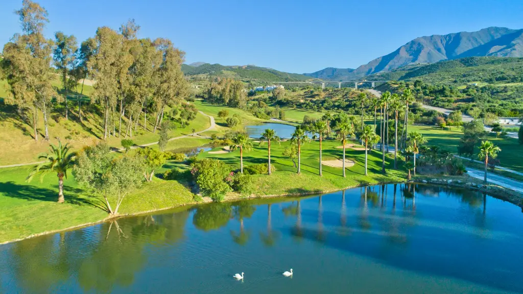 estepone-golf-18.webp