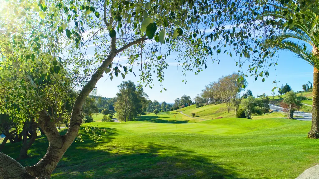 estepone-golf-19.webp