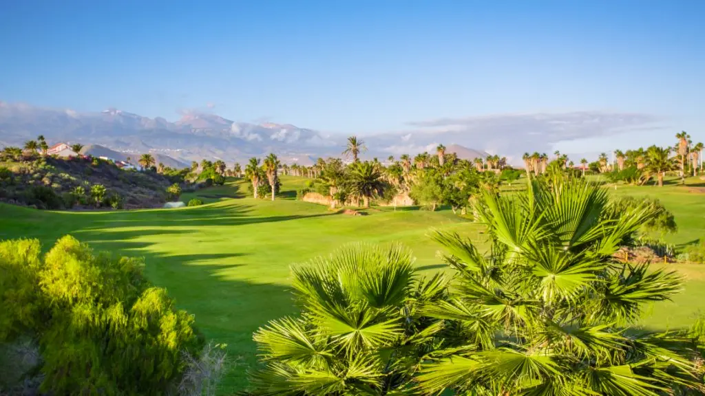 golf-del-sur-40.webp