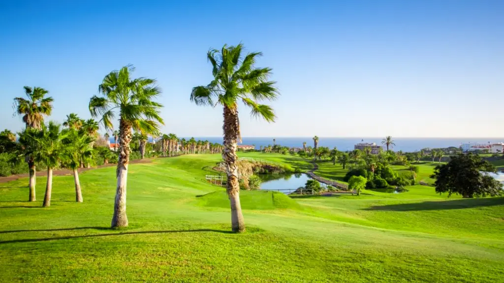 golf-del-sur-22.webp