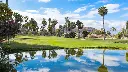 golf-las-americas-19.webp