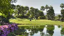 golf-las-americas-28.webp