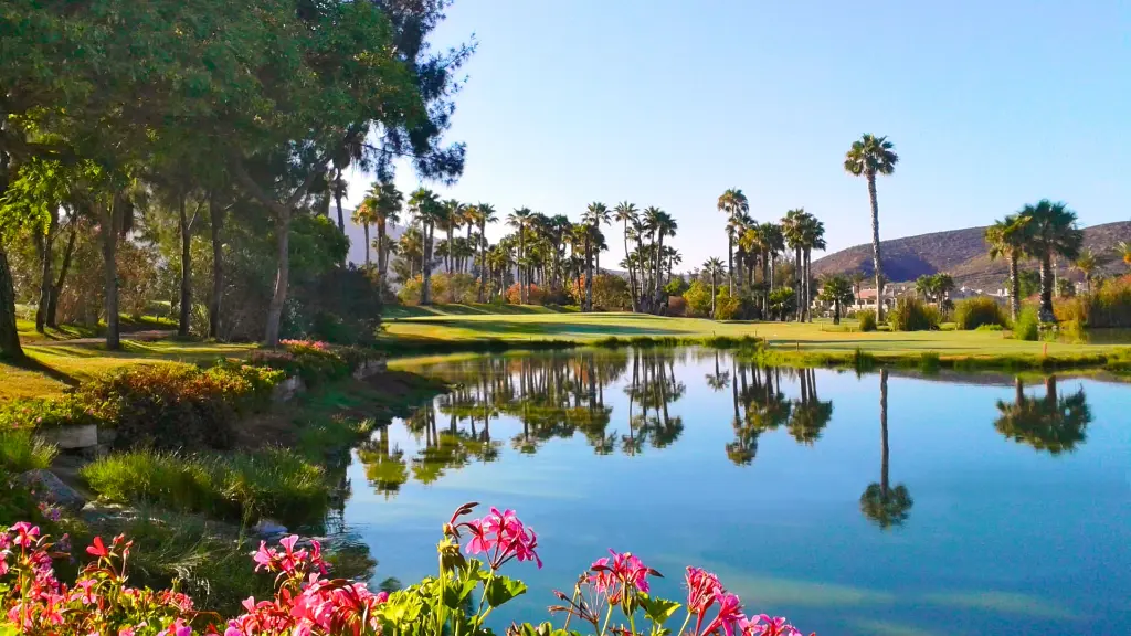 golf-las-americas-8.webp