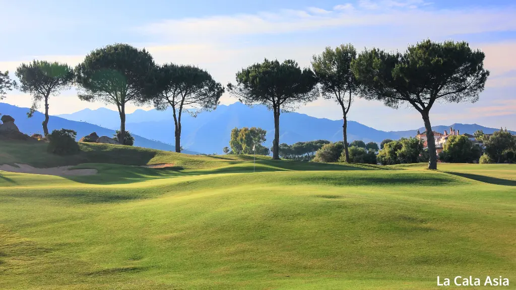 la-cala-asia-21.webp