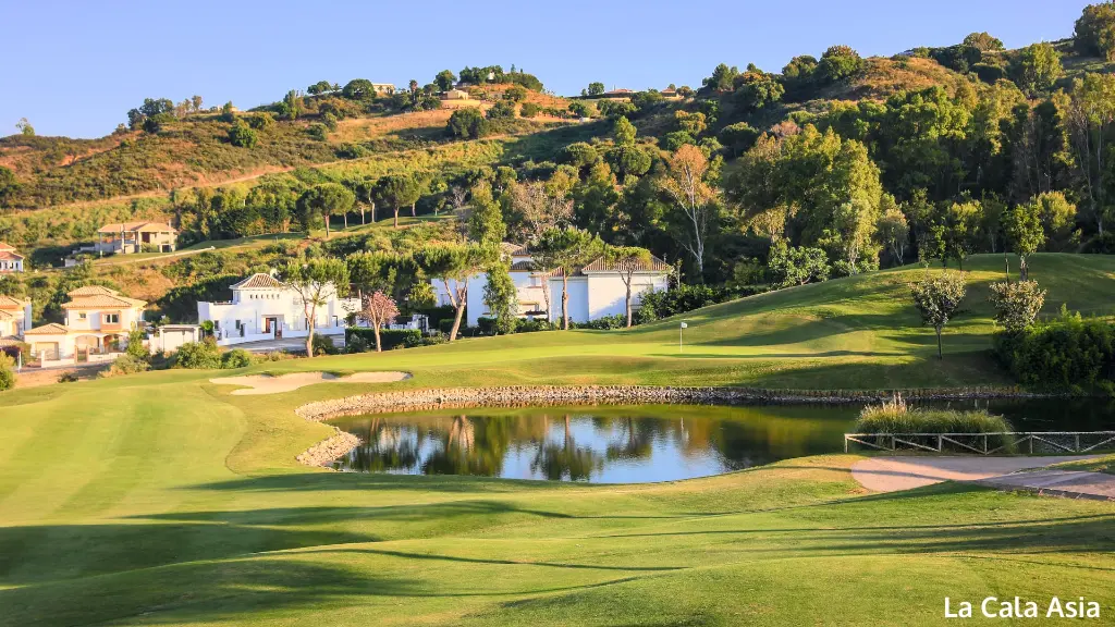 la-cala-asia-6.webp