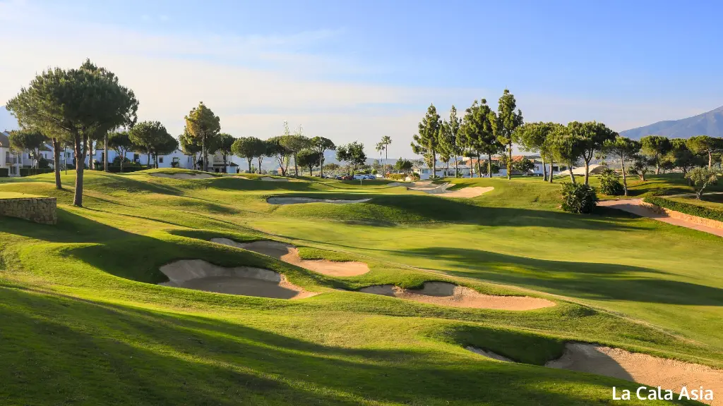 la-cala-asia-22.webp