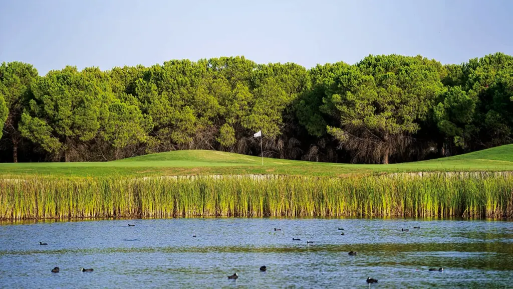 la-monacilla-golf-34.webp