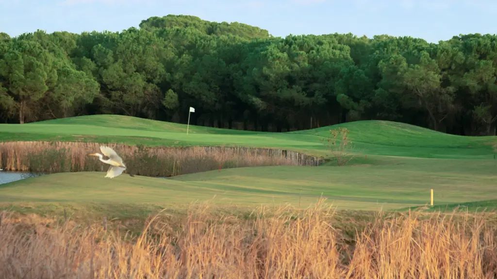 la-monacilla-golf-38.webp