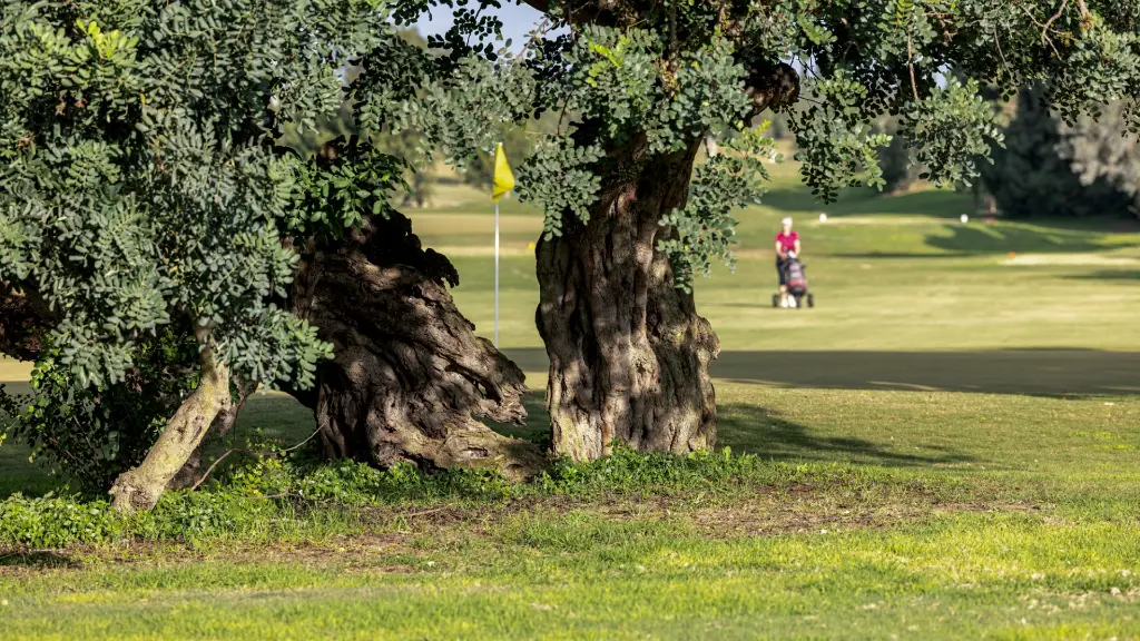 la-sella-golf-30.webp