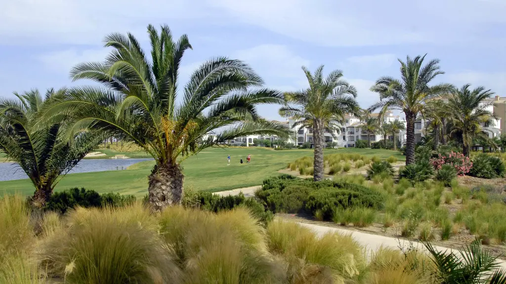 la-torre-golf-12.webp
