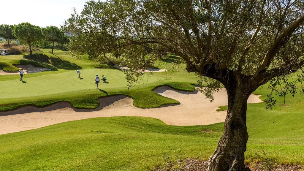 Golf-las-colinas-29.webp