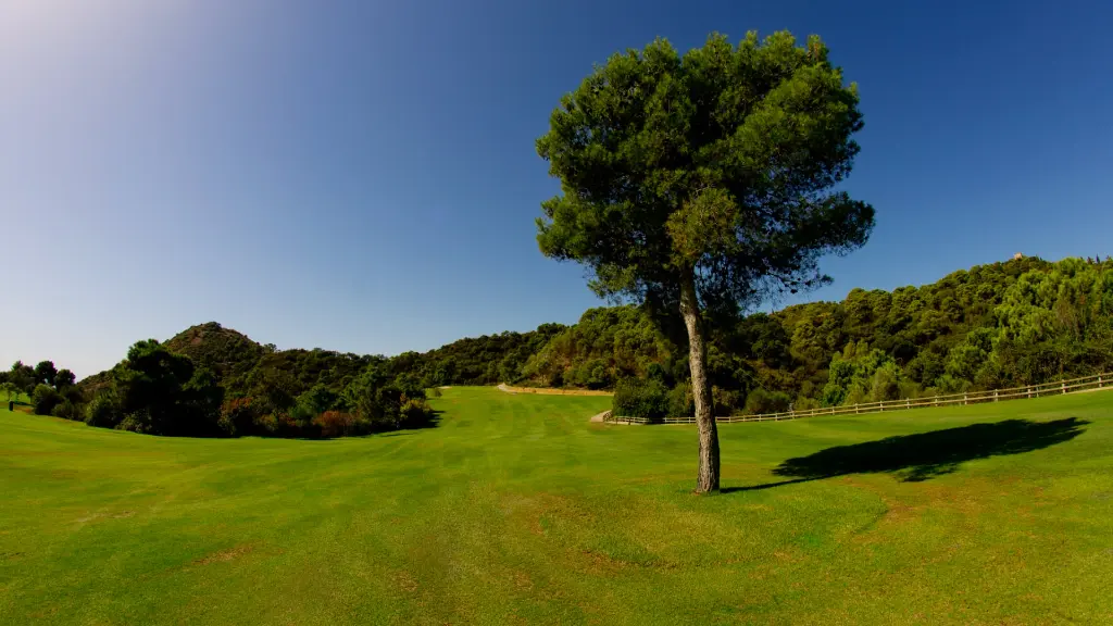 los-arqueros-golf-20.webp