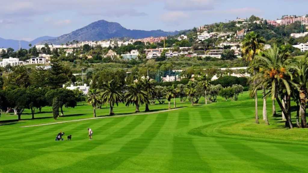 Los-naranjos-golf-2.webp