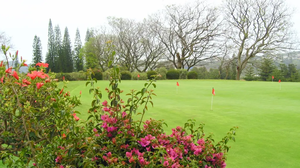 mijas-golf-29.webp
