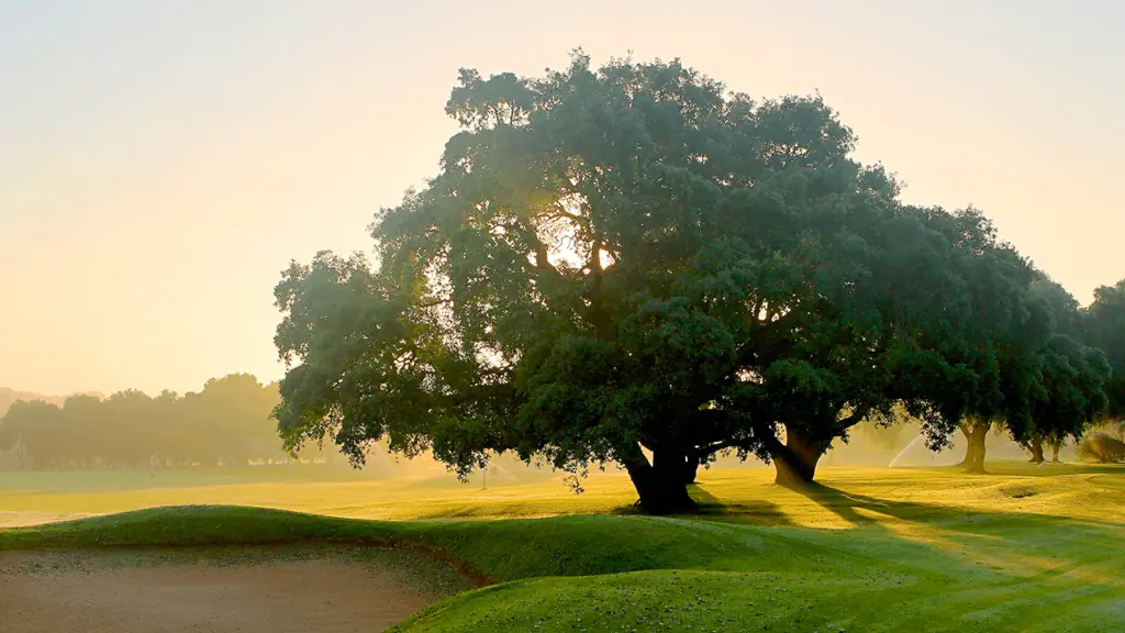 dehesa-montemedio-golf-25.webp