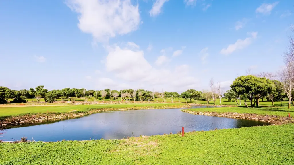 dehesa-montemedio-golf-5.webp