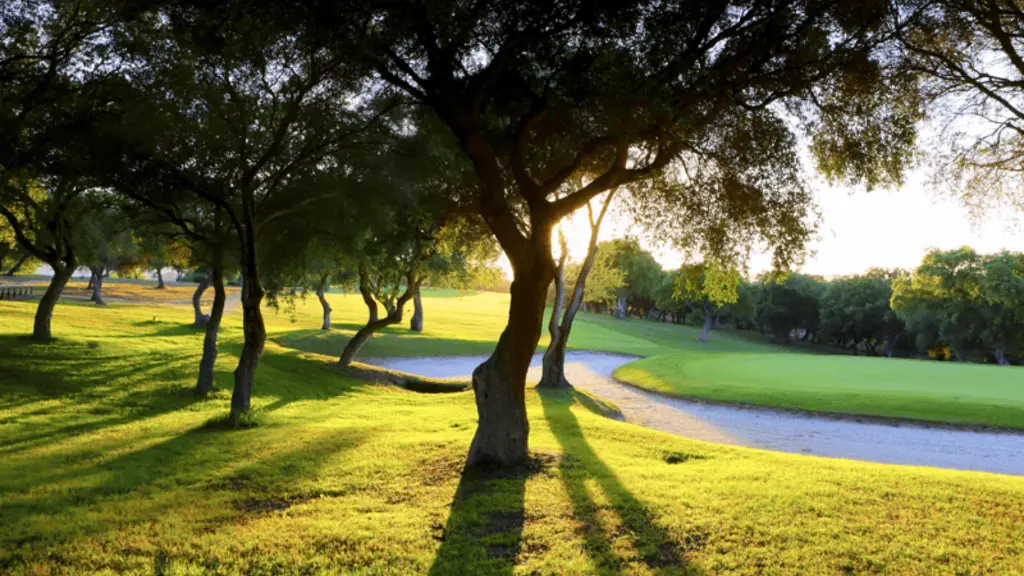 dehesa-montemedio-golf-13.webp