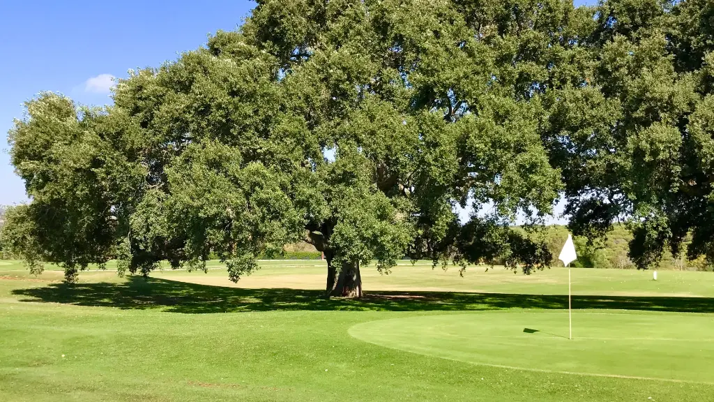 dehesa-montemedio-golf-28.webp