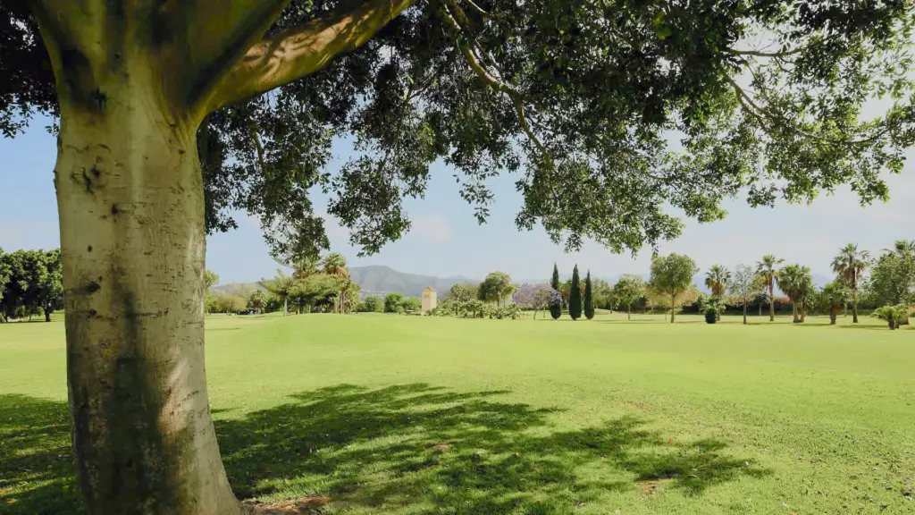 Real-guadalhorce-golf-47.webp