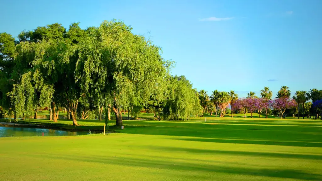 Real-guadalhorce-golf-38.webp