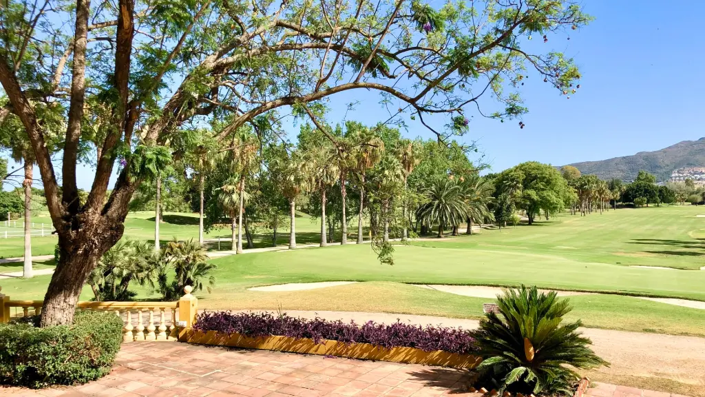 Real-guadalhorce-golf-42.webp