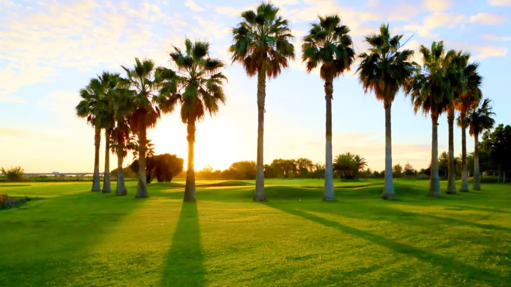 Real-guadalhorce-golf-39.webp