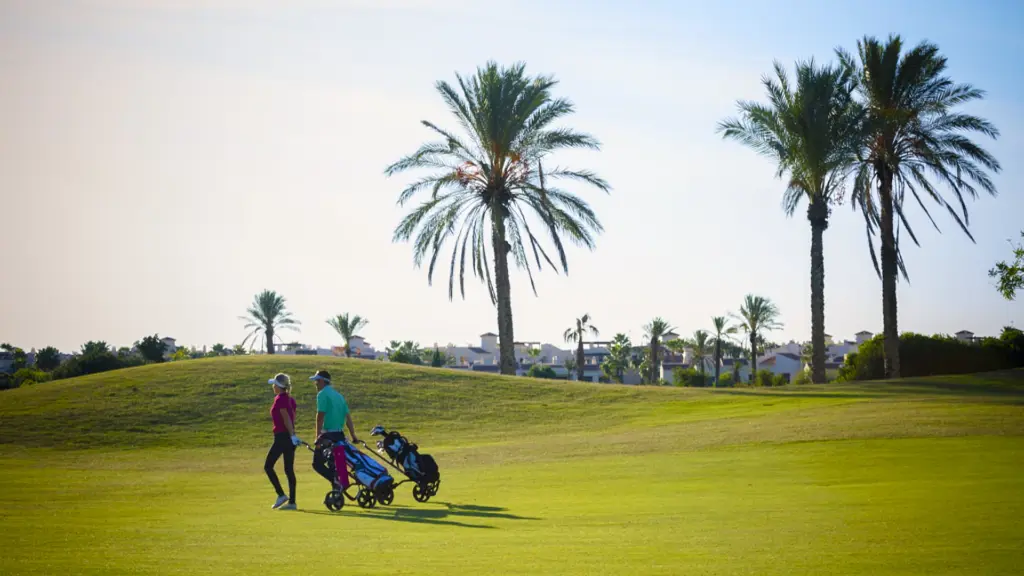 Roda-golf-9.webp