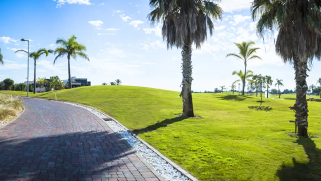 Roda-golf-25.webp