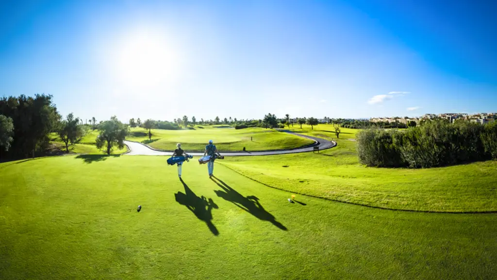 Roda-golf-15.webp