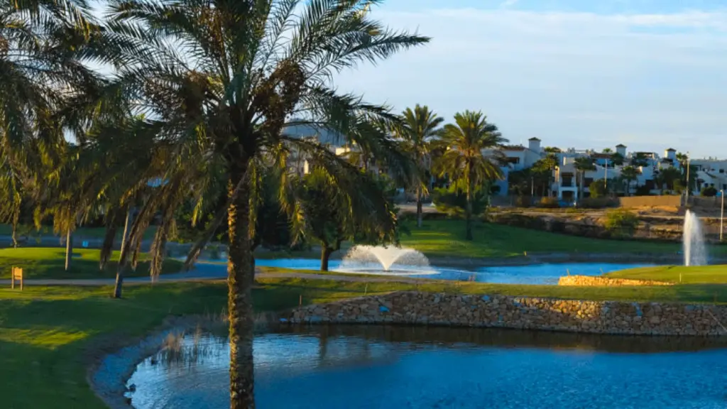 Roda-golf-27.webp