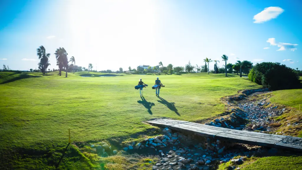 Roda-golf-5.webp