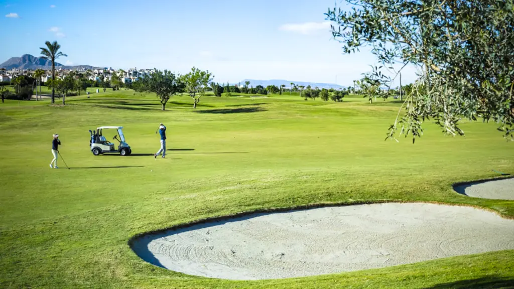 Roda-golf-4.webp