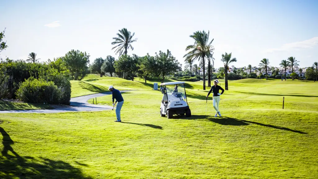 Roda-golf-11.webp
