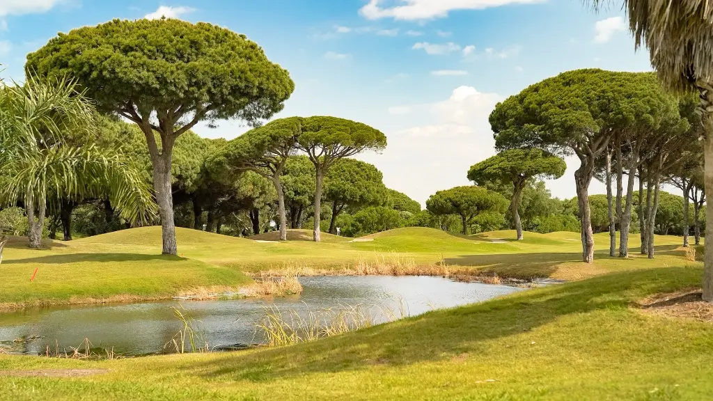 sancti-petri-golf-24.webp