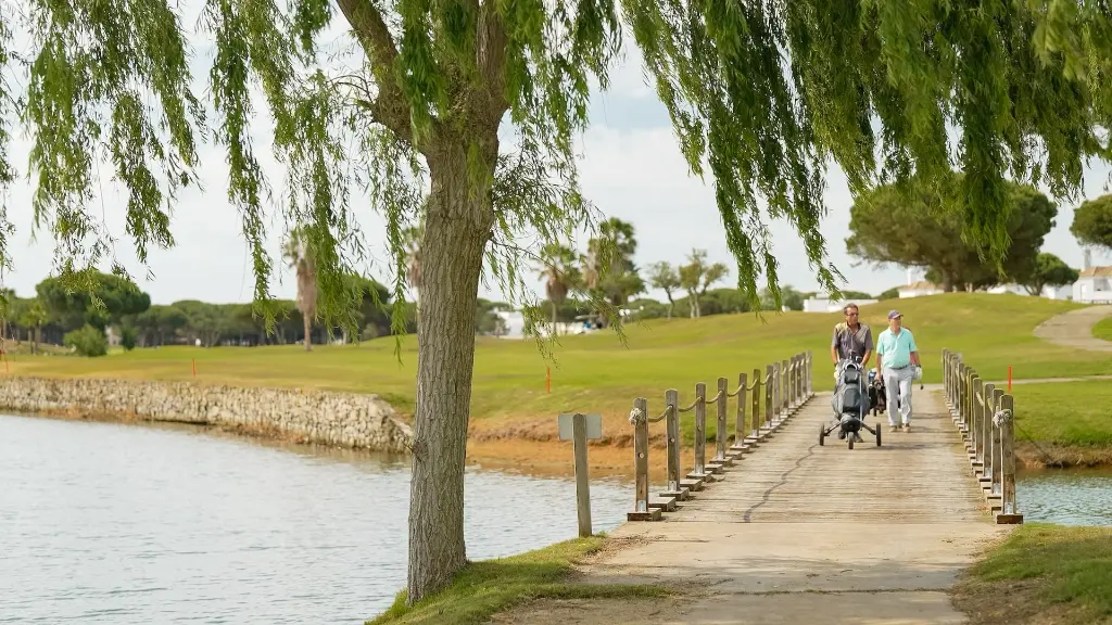 sancti-petri-golf-25.webp
