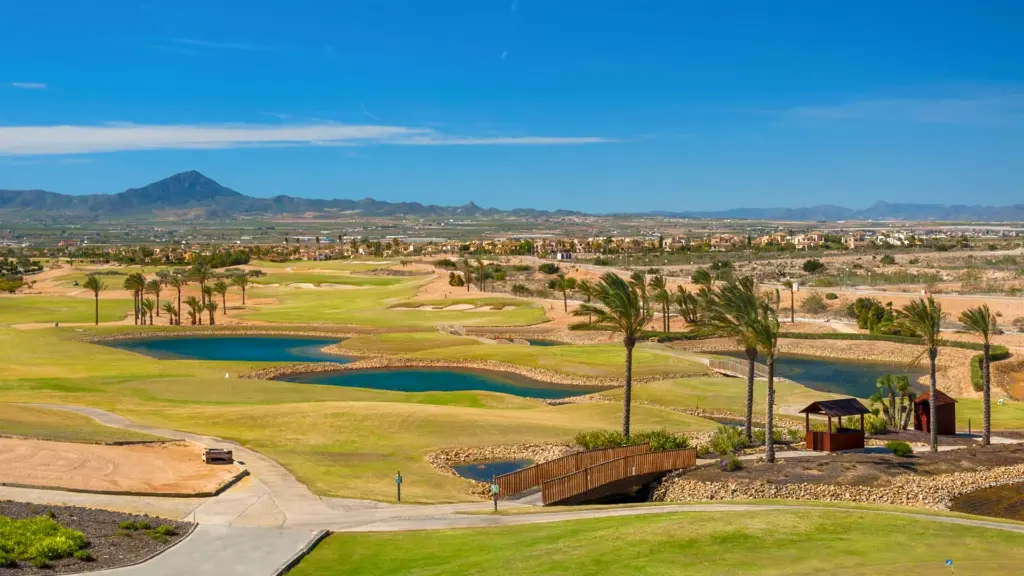 sauines-golf-9.webp