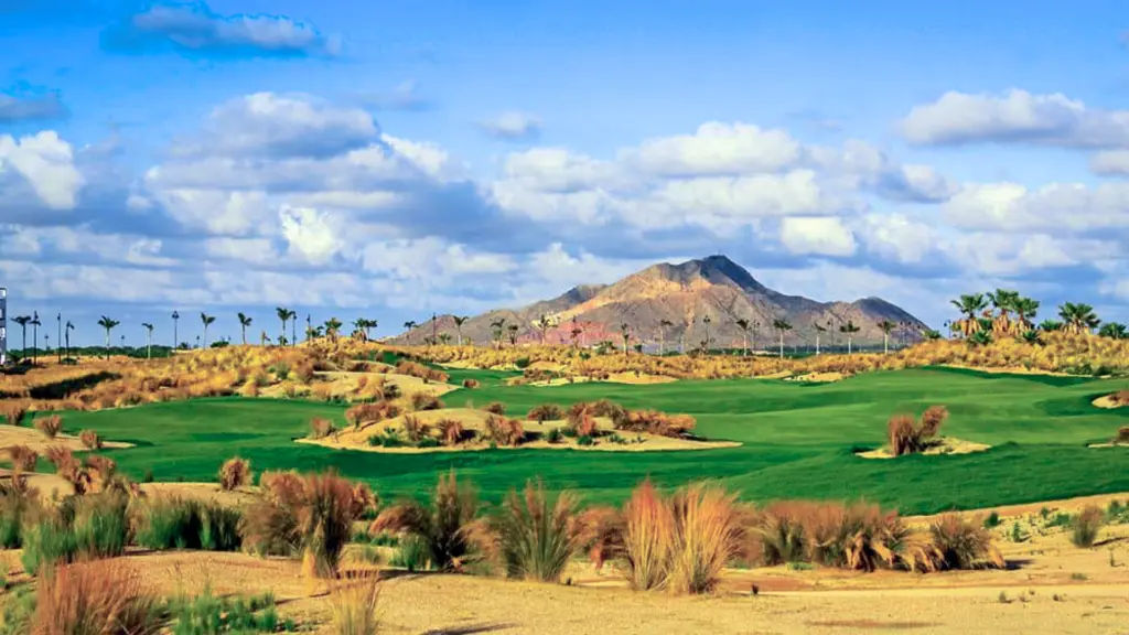 sauines-golf-3.webp