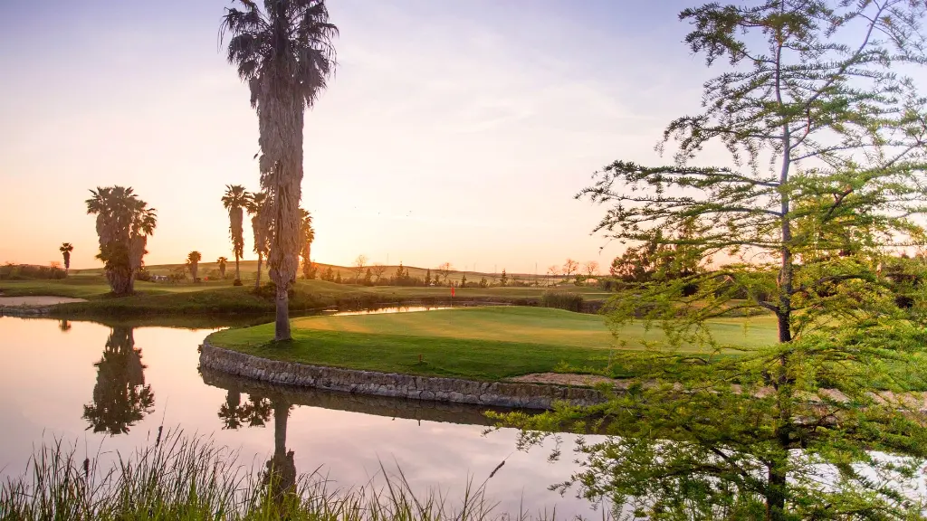 Sjerry-golf-8.webp