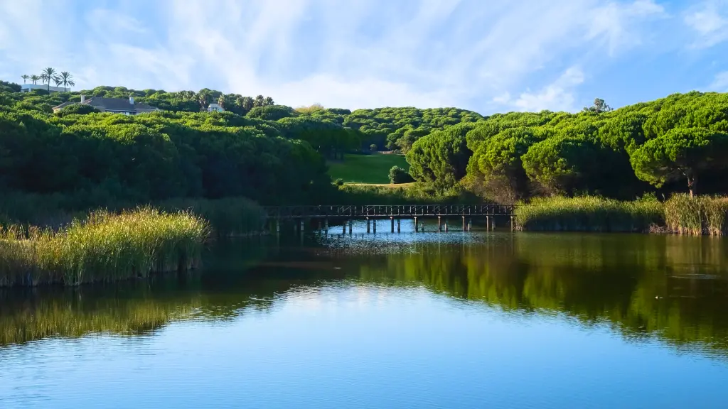 alto-club-golf-10.webp