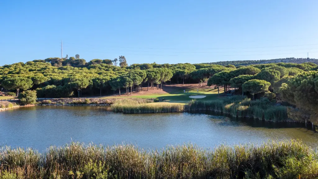 alto-club-golf-9.webp