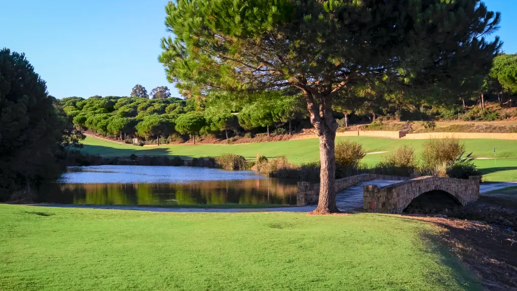 alto-club-golf-20.webp