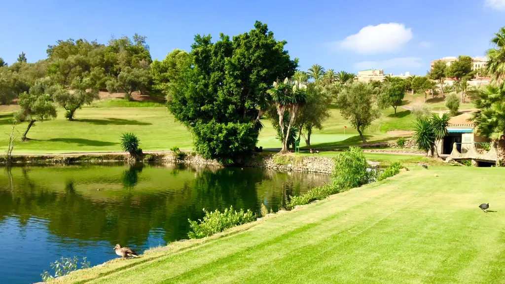 golf-torrequebrada-25.webp