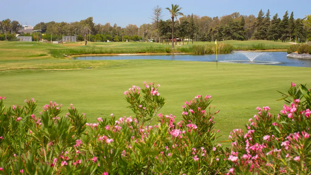 villanuev-golf-3.webp