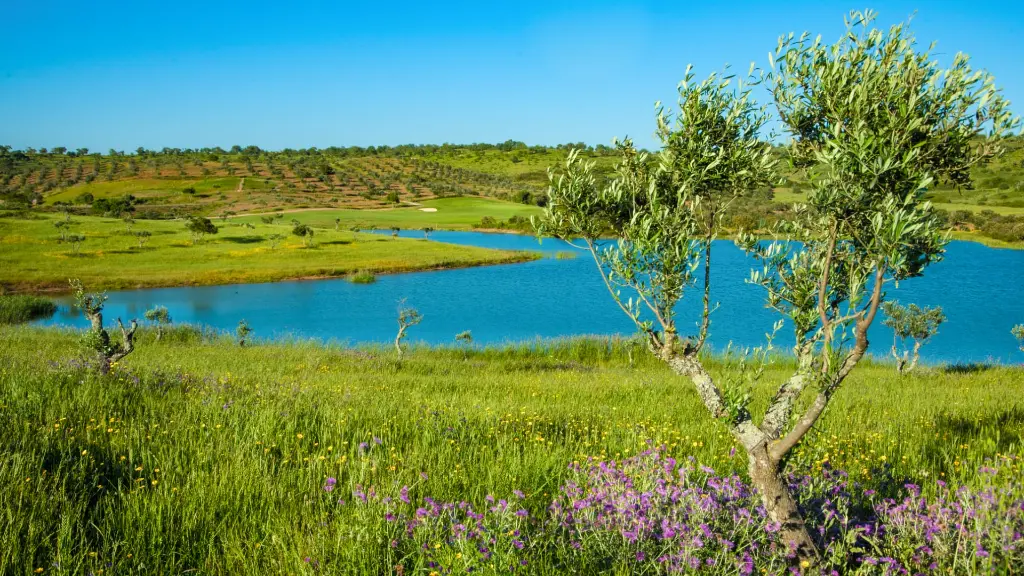 alamos-golf-16.webp