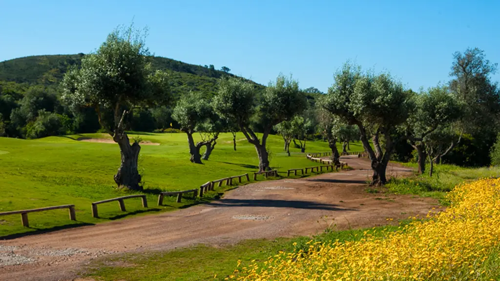 alamos-golf-1.webp