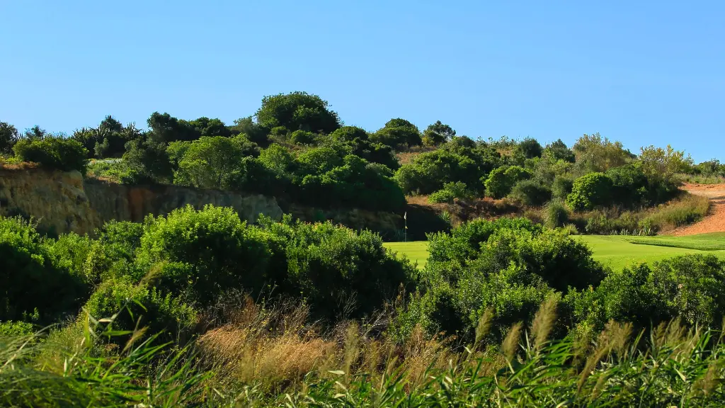amendoeira-faldo-course-28.webp