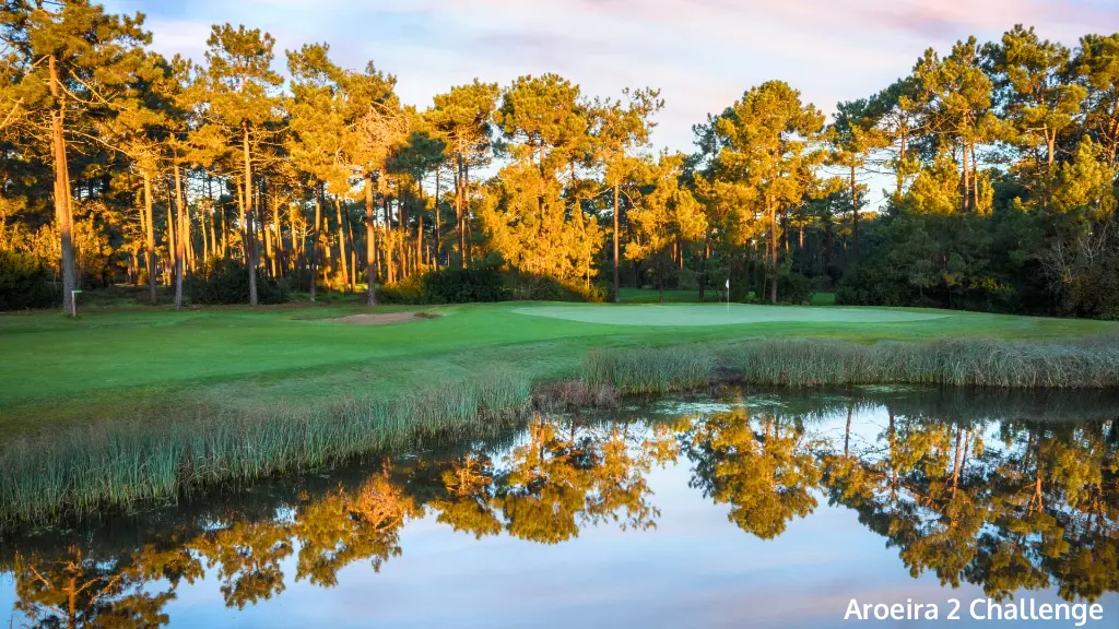 aroeira-2-challenge-8.webp